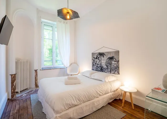 Le Chic De Patton Avec Jardin Privatif ! * Nancy